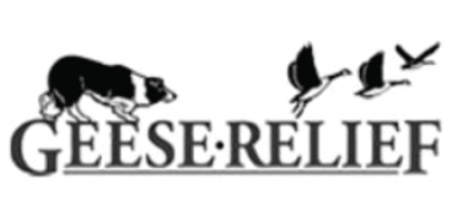 Geese Relief